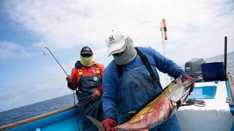 Armada de Ecuador se alista para combatir la pesca ilegal cerca de las islas Galápagos
