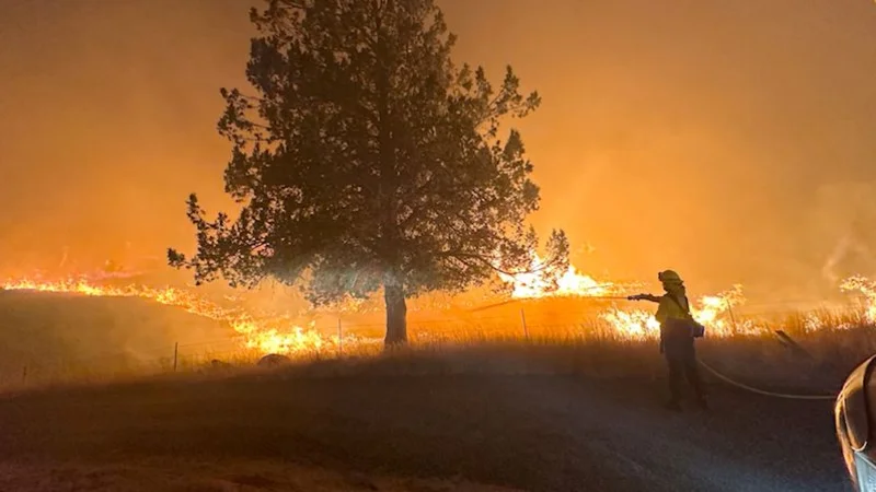Ola de calor se instala en el oeste de EEUU y aumenta el riesgo de incendios forestales