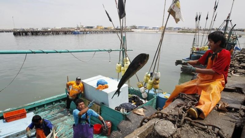 Latinoamérica logra avances "notables" contra el hambre y la desnutrición, destacan países del sur: FAO