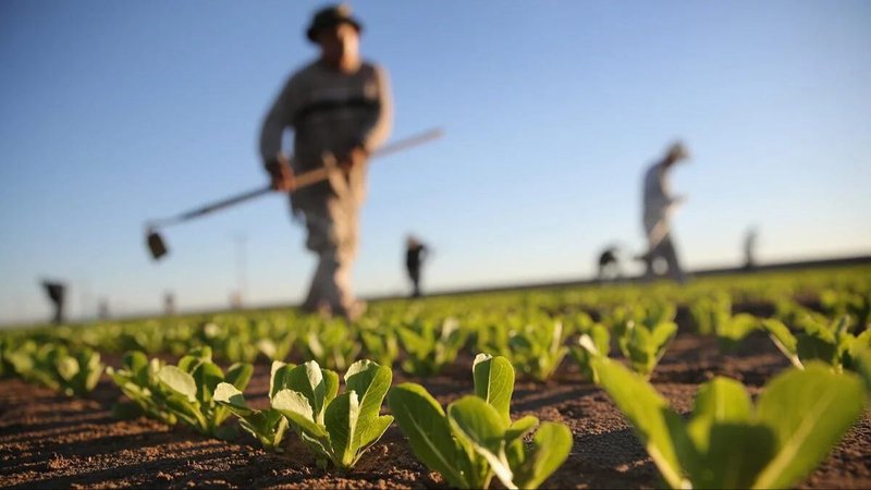 Agricultura: Formosa avanza con la planificación de políticas destinadas a los productores locales