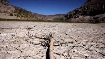 La Niña no se desarrolló tan rápido como lo previsto, se mantiene 70% probabilidad para agosto-octubre: CIIFEN La Niña no se desarrolló tan rápido como lo previsto, se mantiene 70% probabilidad para agosto-octubre: CIIFEN
