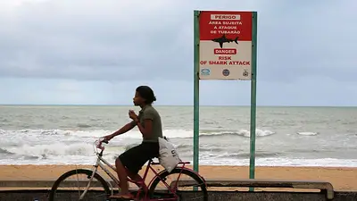 Tiburones de Rio de Janeiro dan positivo por cocaína Tiburones de Rio de Janeiro dan positivo por cocaína
