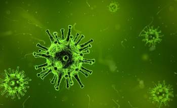 Alerta por el COVID "Frankenstein" en Argentina: cuáles son los síntomas | Coronavirus