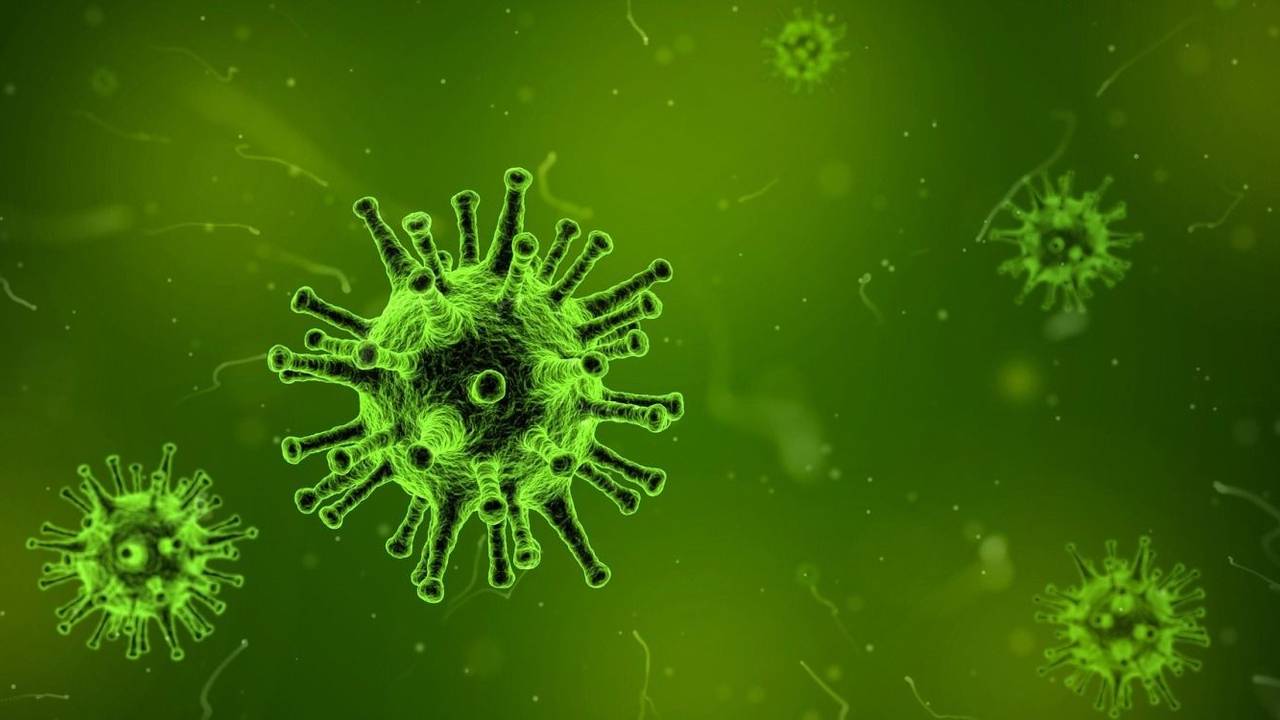 Alerta por el COVID "Frankenstein" en Argentina: cuáles son los síntomas de la nueva variante