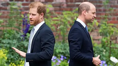 Pelea Harry y William Pelea Harry y William