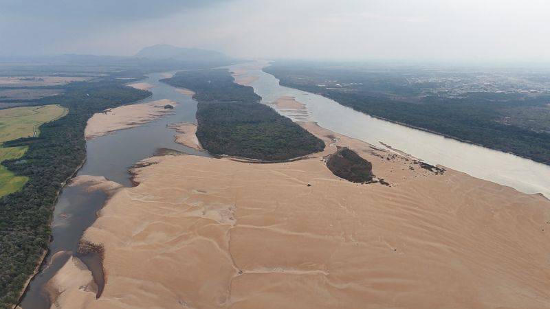 Los bosques del mundo no lograron frenar las emisiones climáticas en 2023: estudio