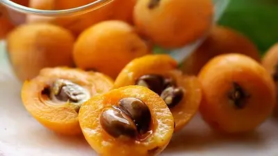 nísperos, el oro naranja nísperos, el oro naranja