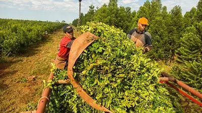 La UATRE logró un nuevo aumento salarial por encima de la inflación La UATRE logró un nuevo aumento salarial por encima de la inflación