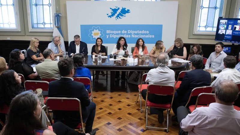 Diputados de Unión por la Patria pidieron las actas, diálogo político y Estado de derecho en Venezuela