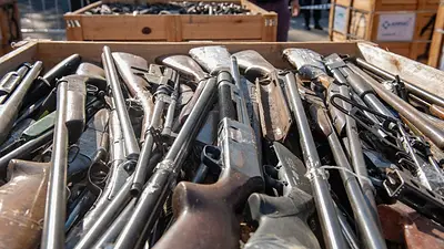 Eliminan por decreto control de armas y dan más poder a Patricia Bullrich Eliminan por decreto control de armas y dan más poder a Patricia Bullrich