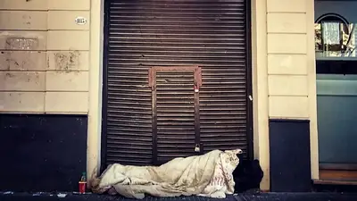Denuncian que hay 9 muertos por frío en la calle en lo que va del invierno Denuncian que hay 9 muertos por frío en la calle en lo que va del invierno