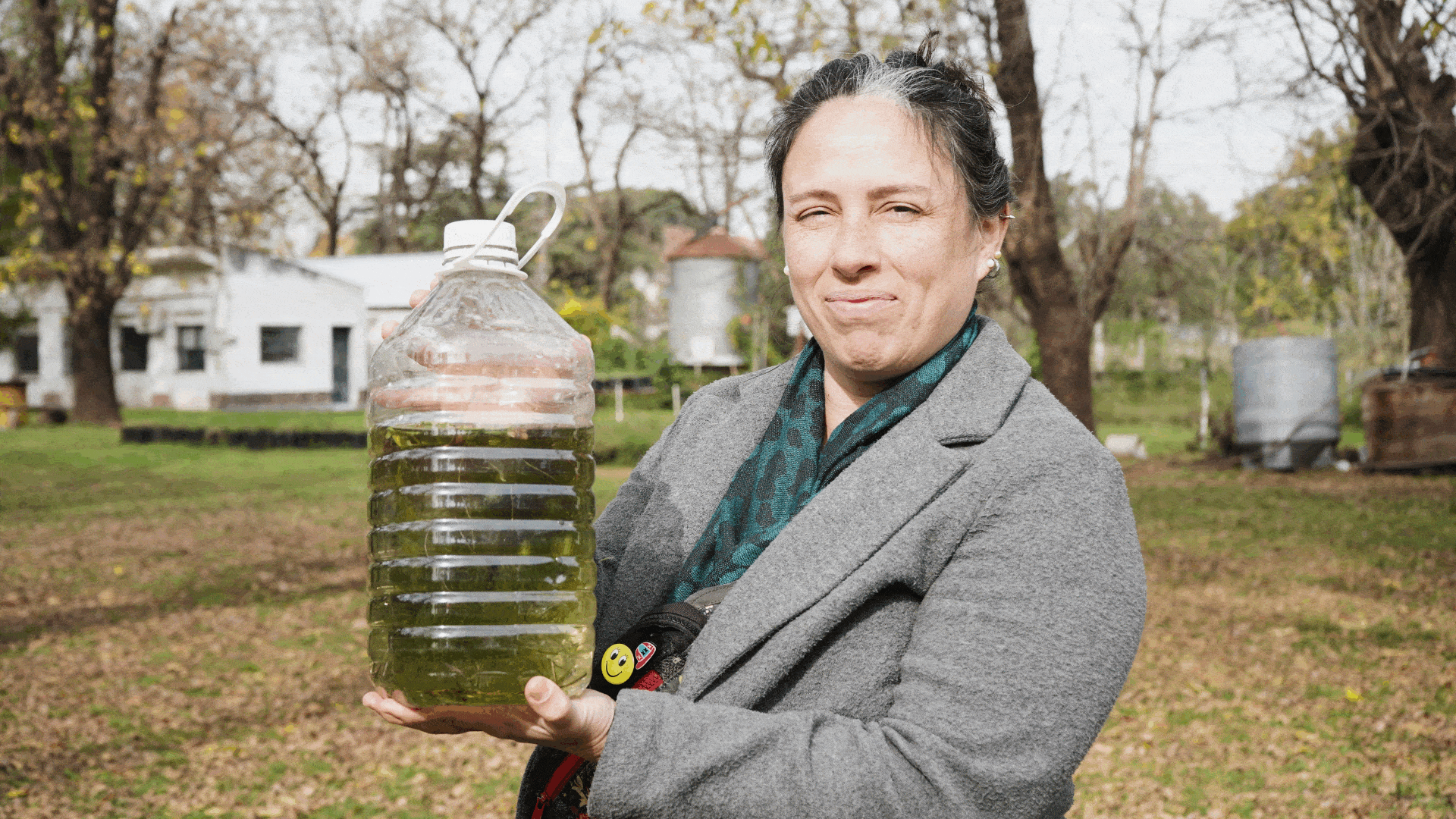 Matar mosquitos sin químicos: la lucha contra el dengue que encabezan expertos de la UBA con animales únicos y voraces
