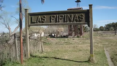 Pipinas Pipinas