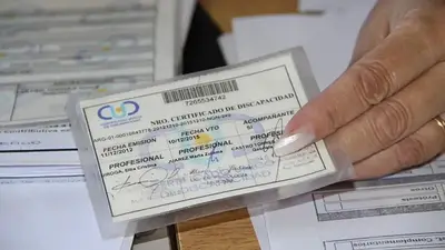 “Política de la crueldad”: Quintela criticó a ANDIS por la auditoría a las pensiones con discapacidad “Política de la crueldad”: Quintela criticó a ANDIS por la auditoría a las pensiones con discapacidad