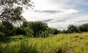 El Gobierno reglamentó la preservación de la Reserva Takú | Naturaleza
