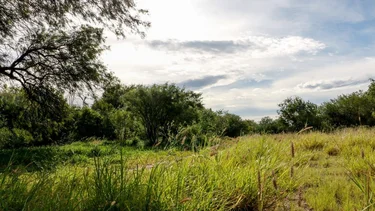 Por un ambiente protegido: La Rioja avanza con reglamentaciones para preservar reservas naturales