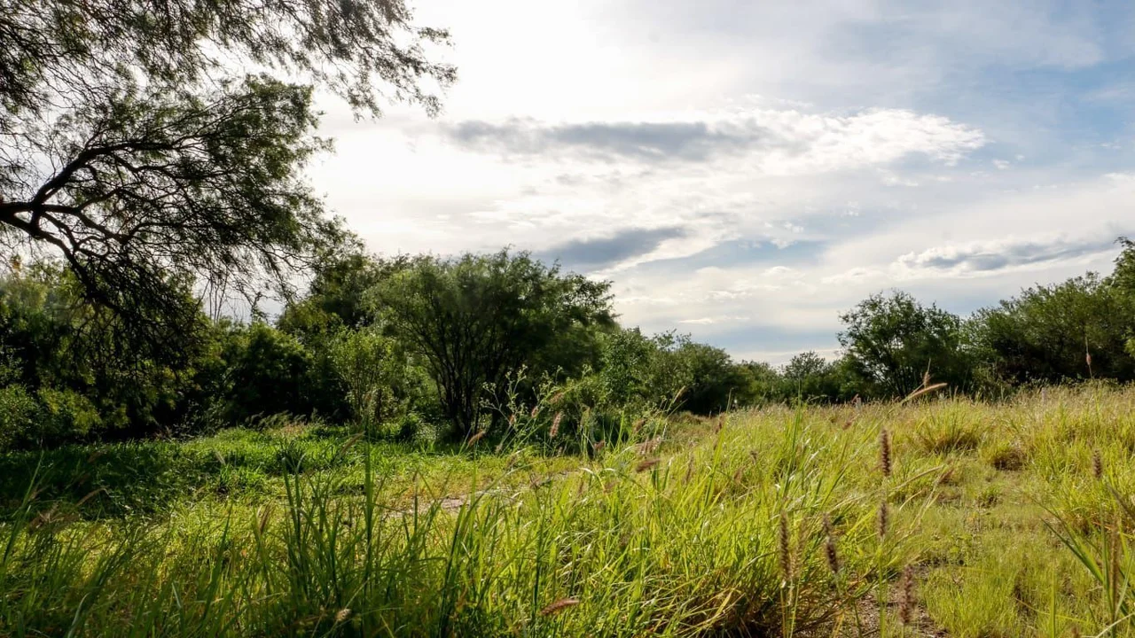 Por un ambiente protegido: La Rioja avanza con reglamentaciones para preservar reservas naturales