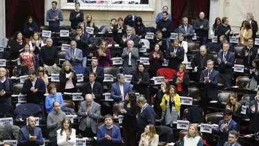 Diputados se anotó otra victoria con la media sanción a la emergencia pediátrica