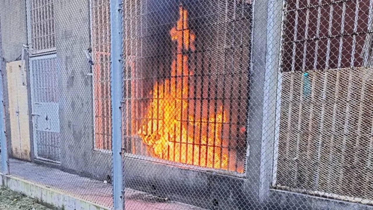 Fuego 