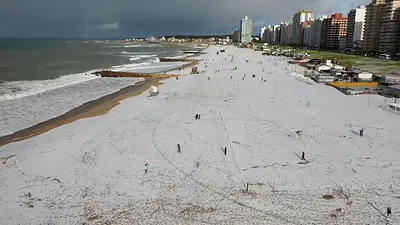 Nieve en Mar del Plata Nieve en Mar del Plata