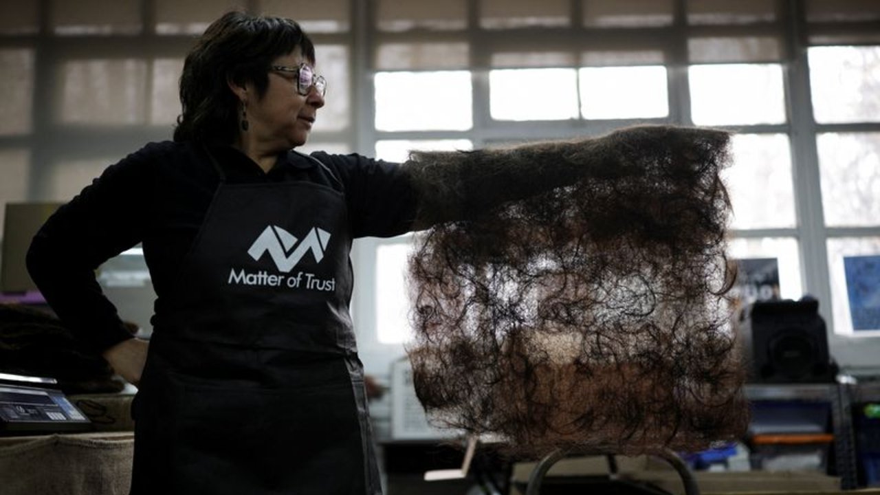 Tapetes de pelo ayudan a evitar impacto de sequía en huertos en Chile