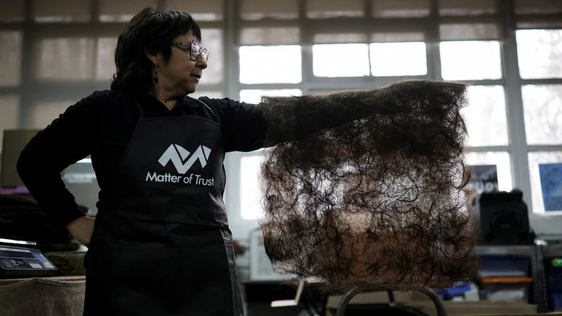 Tapetes de pelo ayudan a evitar impacto de sequía en huertos en Chile