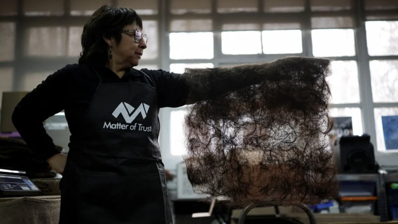 Tapetes de pelo ayudan a evitar impacto de sequía en huertos en Chile