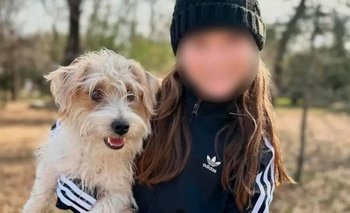 Un vecino asesinó a un perro que era soporte emocional de una niña con epilepsia | Violencia animal