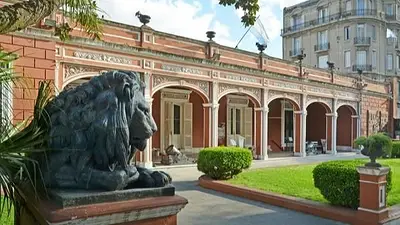 Gabriel DiMeglio: "Todos los museos dejaron de recibir dinero" Gabriel DiMeglio: "Todos los museos dejaron de recibir dinero"