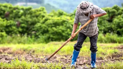 Trabajador rural Trabajador rural