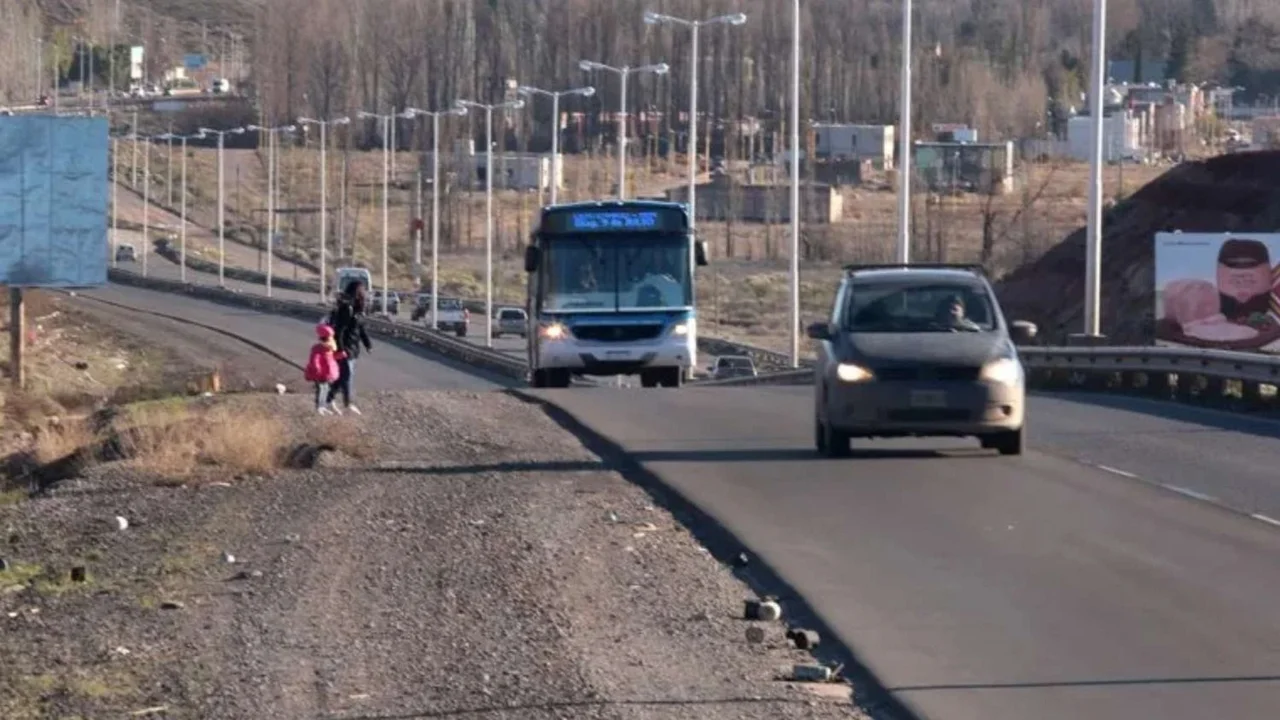 Colectivos transporte público
