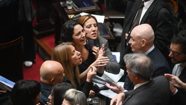 La oposición en Diputados espera mandar Universidades y Garrahan al recinto y mantener activa la investigadora $Libra