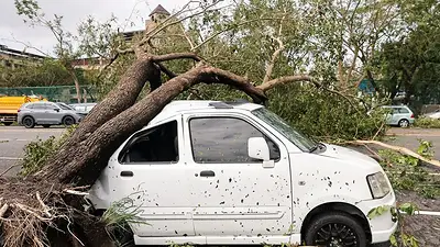 El tifón Danas azota el sur de Taiwán con vientos récord y cientos de heridos El tifón Danas azota el sur de Taiwán con vientos récord y cientos de heridos