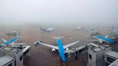 niebla niebla