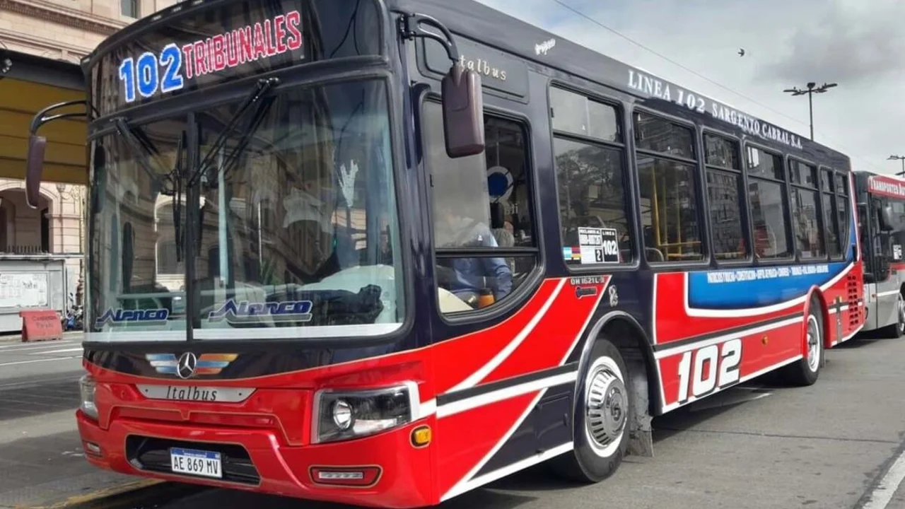 Colectivo 102