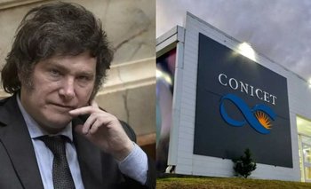 Contra Milei: investigadores repudiaron el ajuste al sistema científico | Ciencia 