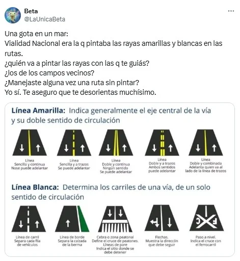 rutas, licencia de conducir, argentina, autos, vialidad nacional