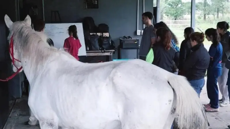 Caballo