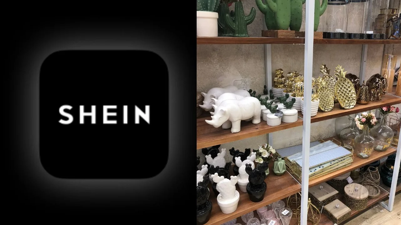 Cuáles son los productos que se consiguen más baratos en Once que en Shein. Qué me conviene, comprar en Once o en Shein. Cómo comprar por Shein.