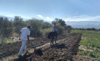 Freno al desguace del INTA: alivio para productores aunque el Gobierno busca avanzar igual | Desregulación económica