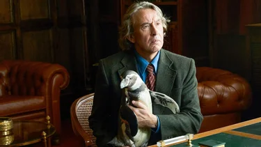 La historia real de la amistad entre un inglés y un pingüino en la dictadura argentina que llega a los cines