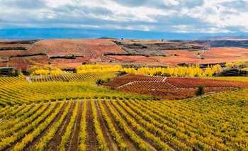 Vacaciones de invierno: la mística Ruta del Vino que invita a recorrer |  la rioja 