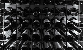 Cata de vinos en Buenos Aires con aperitivo, entrada, plato principal y postre por $55.000 | Gastronomía