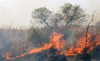 Incendios: las quemas de pastizales están desbordadas "por completo" | Santa fe