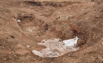 Córdoba: hallaron más de 20 cadáveres en una fosa | Córdoba 