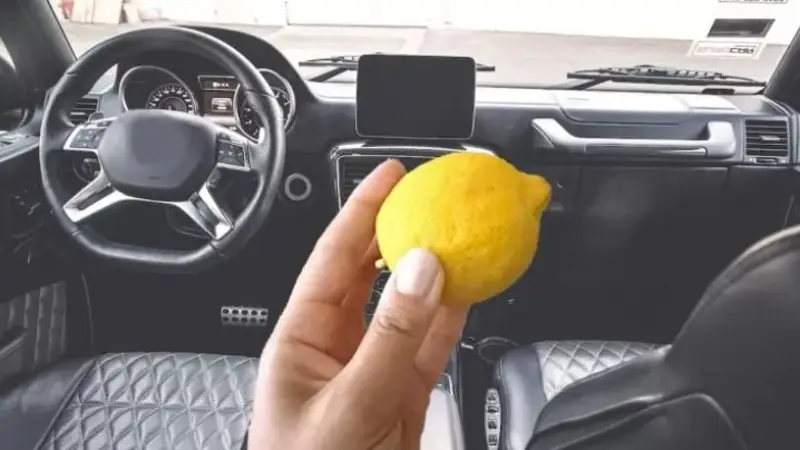 Por qué hay que cargar un limón en el auto. Beneficios de tener un limón en el auto. Por qué el limón ayuda a regular las náuseas en el auto.