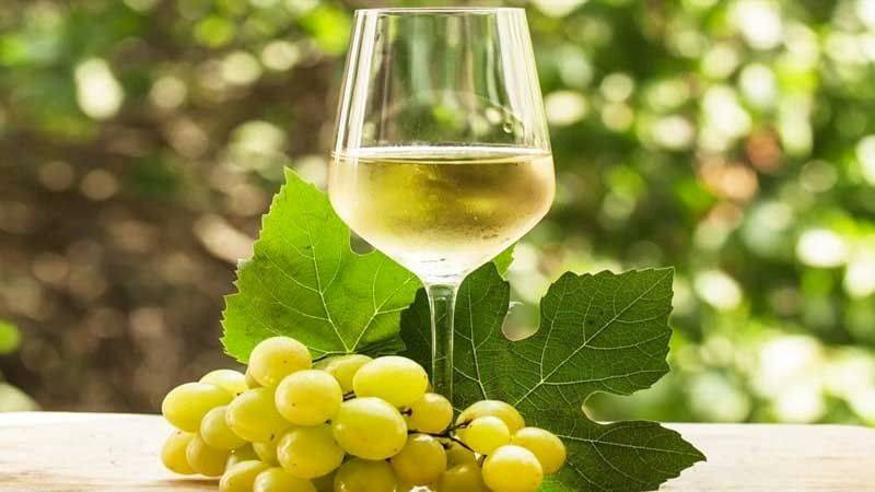 Vino Chardonnay