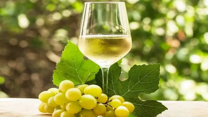 Vino Chardonnay