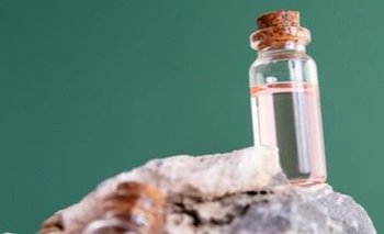 Los perfumes "salados" se imponen entre las fragancias del 2025 | Perfume