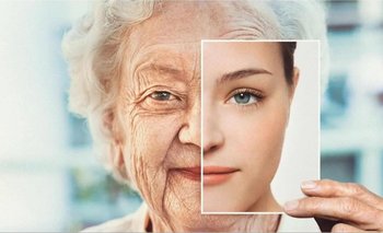 Científicos revelan el secreto menos pensado para lograr la longevidad | Salud